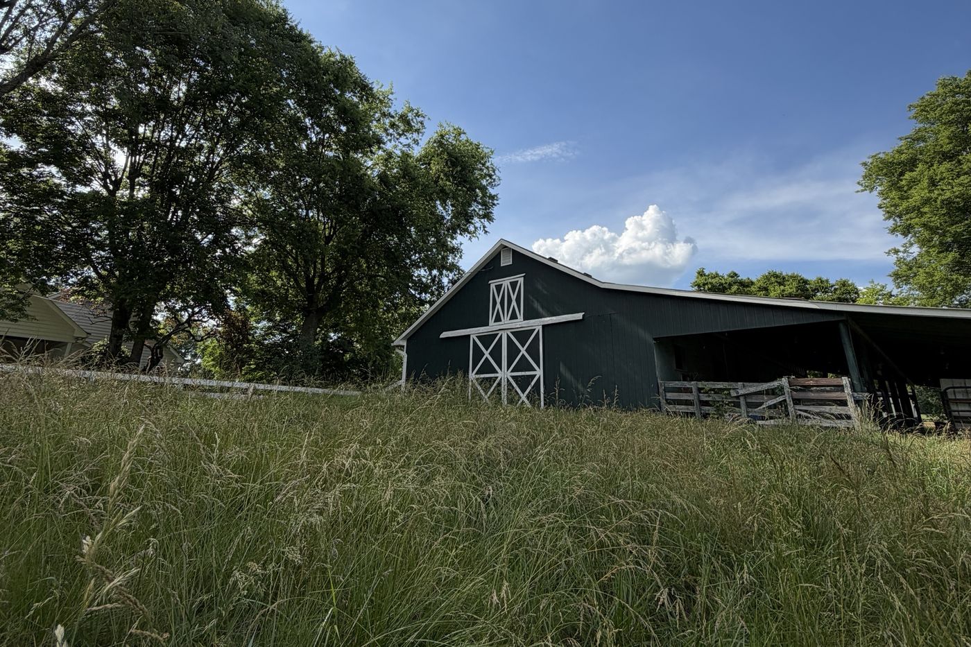 A dark green barn with white X-braced doors on a rise above a field of tall grass, under a blue sky.